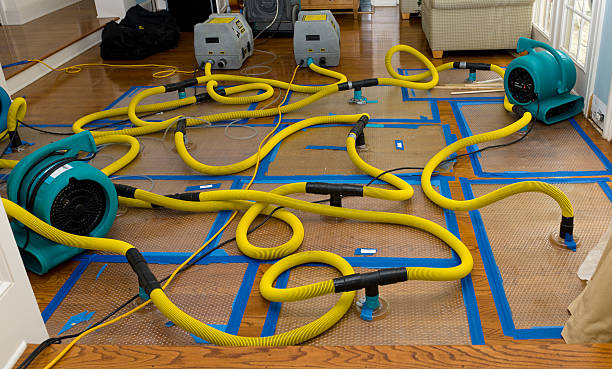 Professional Water Extraction technician working in Buchanan, MI